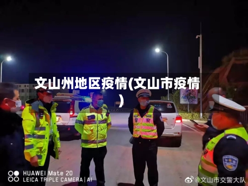 文山州地区疫情(文山市疫情)-第2张图片