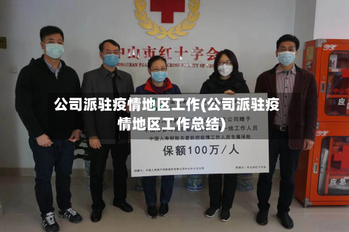 公司派驻疫情地区工作(公司派驻疫情地区工作总结)