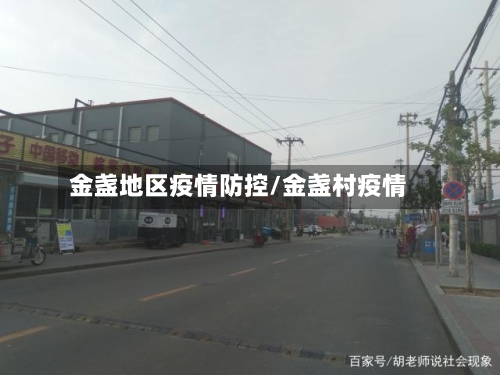 金盏地区疫情防控/金盏村疫情