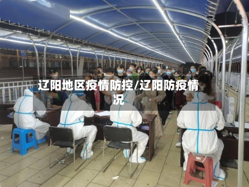 辽阳地区疫情防控/辽阳防疫情况