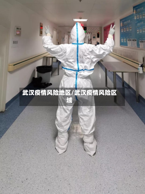 武汉疫情风险地区/武汉疫情风险区域-第2张图片