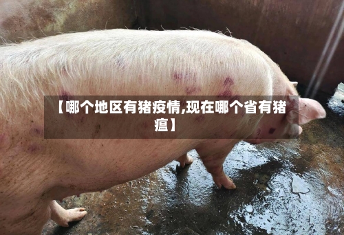【哪个地区有猪疫情,现在哪个省有猪瘟】-第3张图片