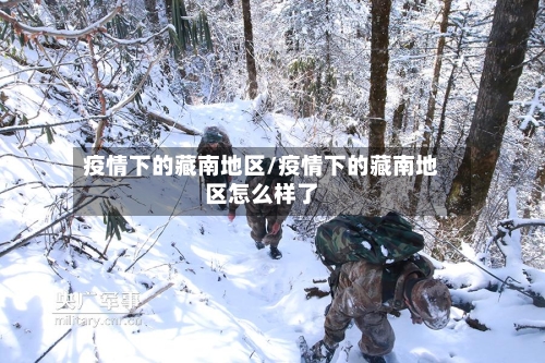 疫情下的藏南地区/疫情下的藏南地区怎么样了-第2张图片