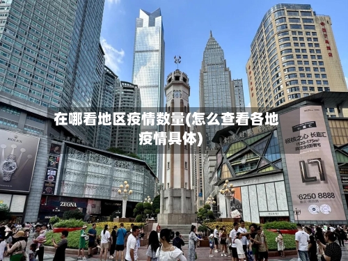 在哪看地区疫情数量(怎么查看各地疫情具体)-第3张图片