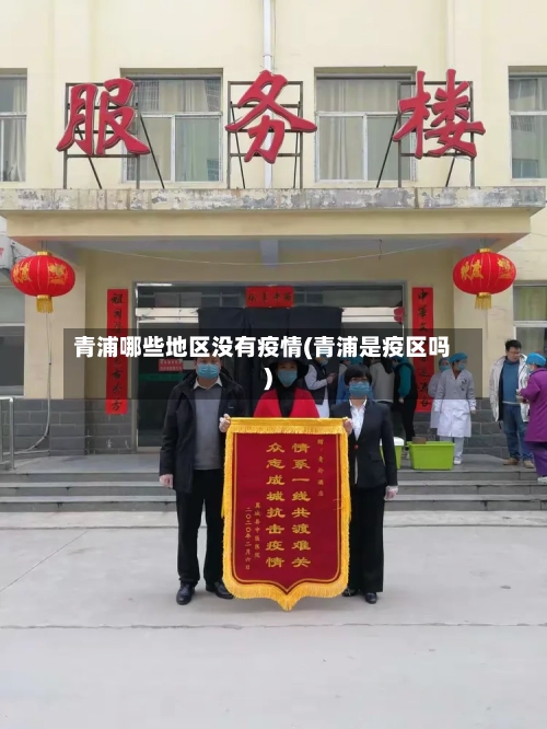 青浦哪些地区没有疫情(青浦是疫区吗)-第2张图片