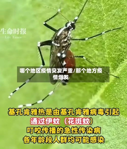 哪个地区疫情突发严重/那个地方疫情爆发-第2张图片