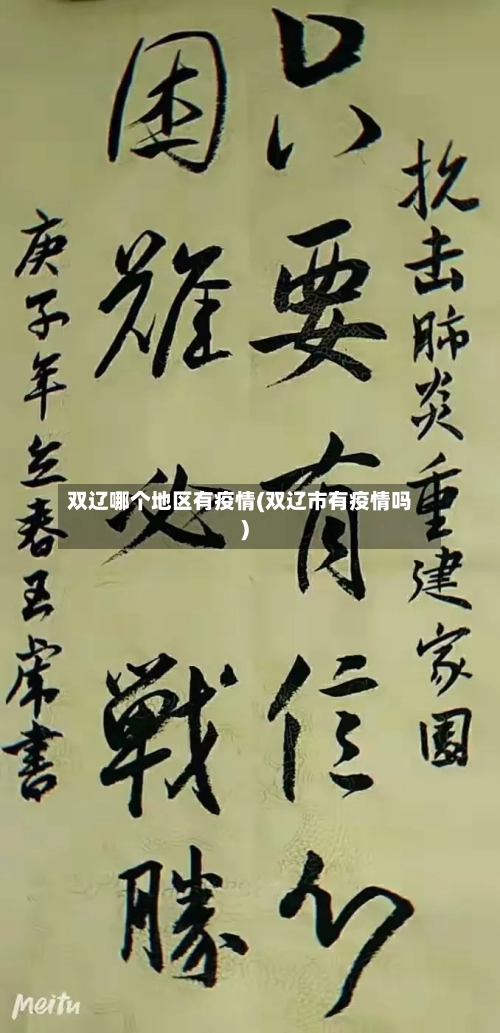 双辽哪个地区有疫情(双辽市有疫情吗)-第2张图片