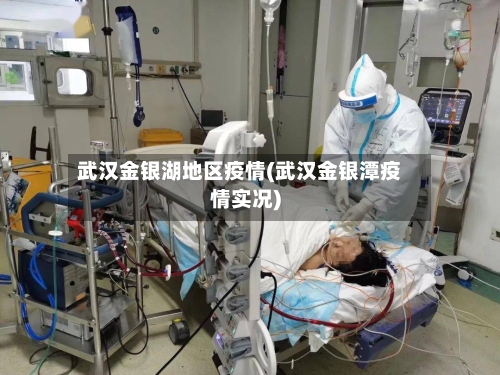 武汉金银湖地区疫情(武汉金银潭疫情实况)-第2张图片
