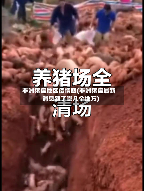 非洲猪瘟地区疫情图(非洲猪瘟最新消息到了哪几个地方)-第2张图片