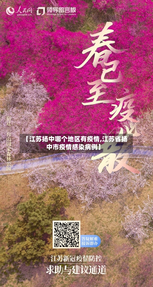 【江苏扬中哪个地区有疫情,江苏省扬中市疫情感染病例】-第3张图片