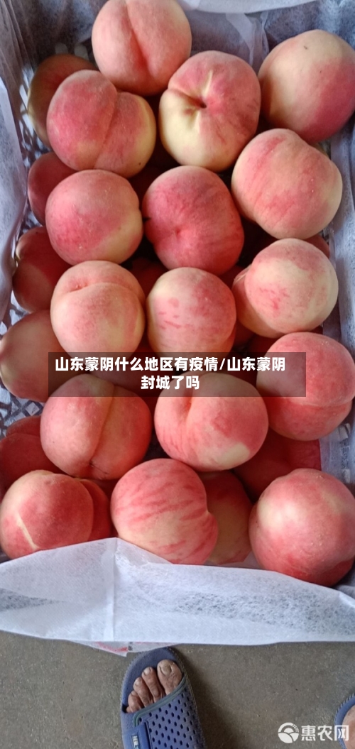 山东蒙阴什么地区有疫情/山东蒙阴封城了吗