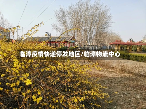 临漳疫情快递停发地区/临漳物流中心-第3张图片
