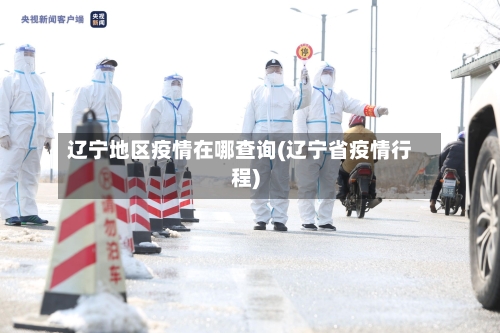 辽宁地区疫情在哪查询(辽宁省疫情行程)