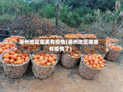 潮州地区哪里有疫情(潮州地区哪里有疫情了)