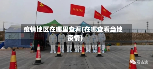 疫情地区在哪里查看(在哪查看当地疫情)-第3张图片