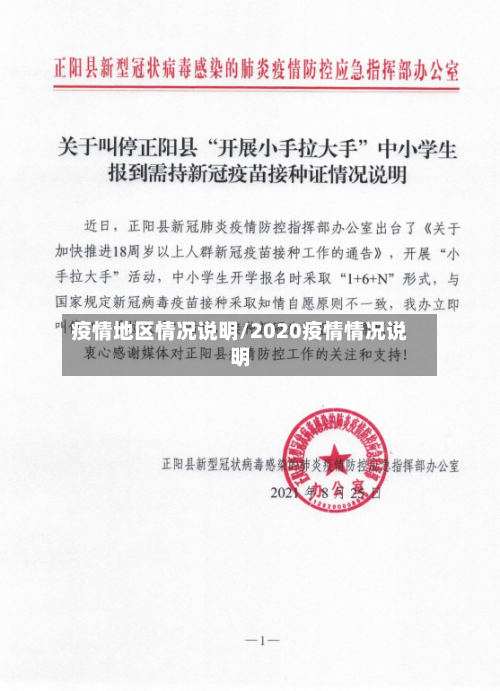 疫情地区情况说明/2020疫情情况说明-第2张图片