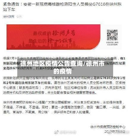 徐州地区疫情公告查询/徐州市的疫情