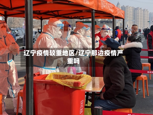 辽宁疫情较重地区/辽宁那边疫情严重吗-第2张图片