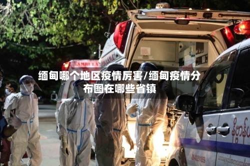 缅甸哪个地区疫情厉害/缅甸疫情分布图在哪些省镇-第2张图片