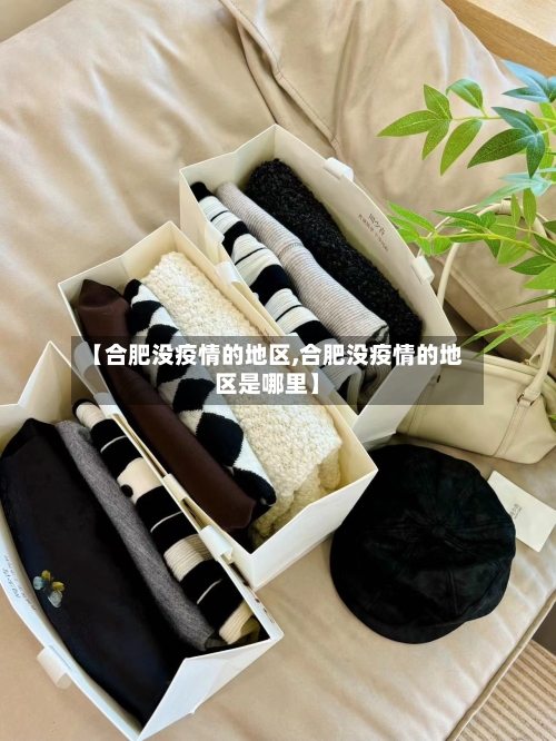 【合肥没疫情的地区,合肥没疫情的地区是哪里】