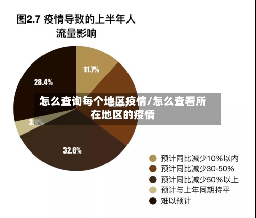 怎么查询每个地区疫情/怎么查看所在地区的疫情