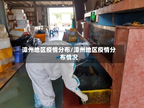漳州地区疫情分布/漳州地区疫情分布情况-第3张图片