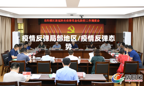 疫情反弹局部地区/疫情反弹态势