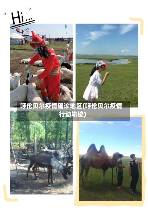 呼伦贝尔疫情确诊地区(呼伦贝尔疫情行动轨迹)-第2张图片