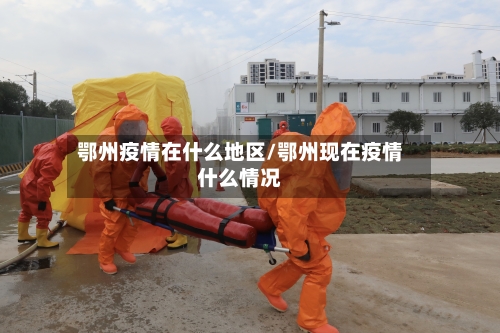 鄂州疫情在什么地区/鄂州现在疫情什么情况