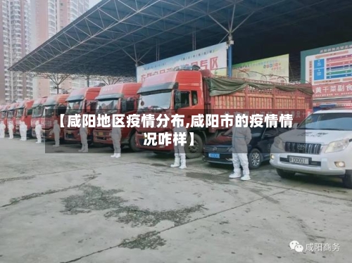 【咸阳地区疫情分布,咸阳市的疫情情况咋样】