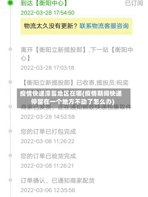 疫情快递滞留地区在哪(疫情期间快递停留在一个地方不动了怎么办)-第3张图片