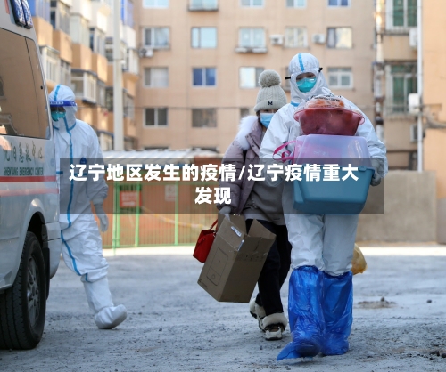 辽宁地区发生的疫情/辽宁疫情重大发现