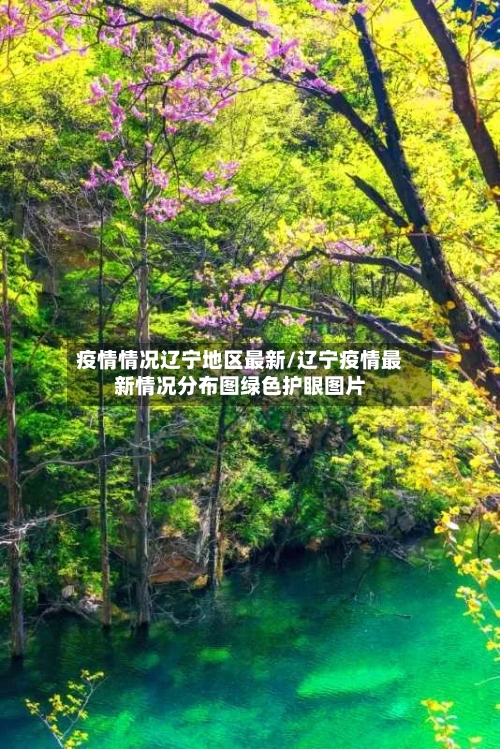 疫情情况辽宁地区最新/辽宁疫情最新情况分布图绿色护眼图片