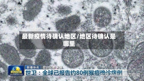 最新疫情待确认地区/地区待确认是哪里-第2张图片