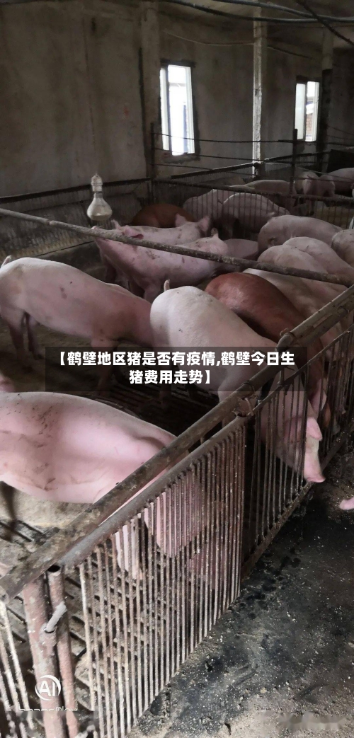 【鹤壁地区猪是否有疫情,鹤壁今日生猪费用走势】-第2张图片