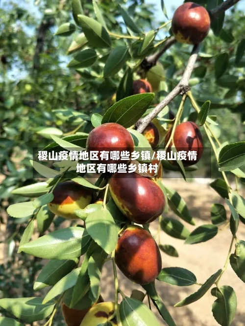 稷山疫情地区有哪些乡镇/稷山疫情地区有哪些乡镇村-第2张图片