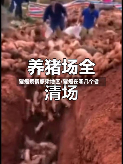 猪瘟疫情感染地区/猪瘟在哪几个省