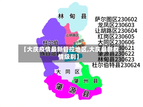 【大庆疫情最新管控地区,大庆最新疫情级别】-第3张图片