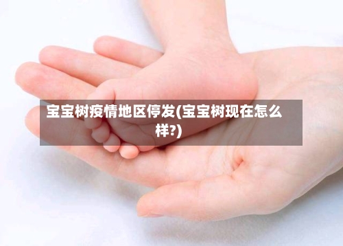 宝宝树疫情地区停发(宝宝树现在怎么样?)