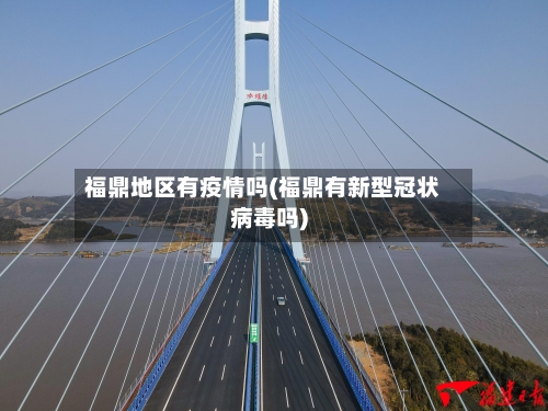 福鼎地区有疫情吗(福鼎有新型冠状病毒吗)-第2张图片