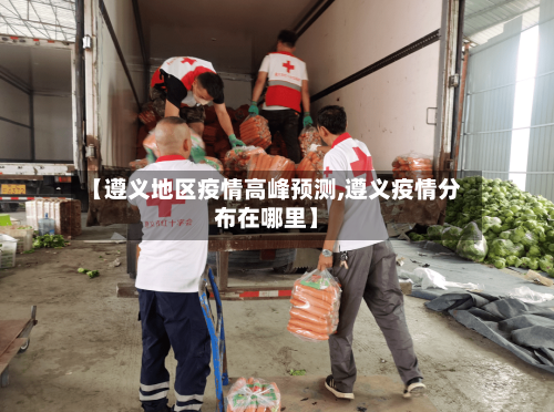 【遵义地区疫情高峰预测,遵义疫情分布在哪里】