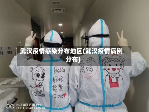 武汉疫情感染分布地区(武汉疫情病例分布)