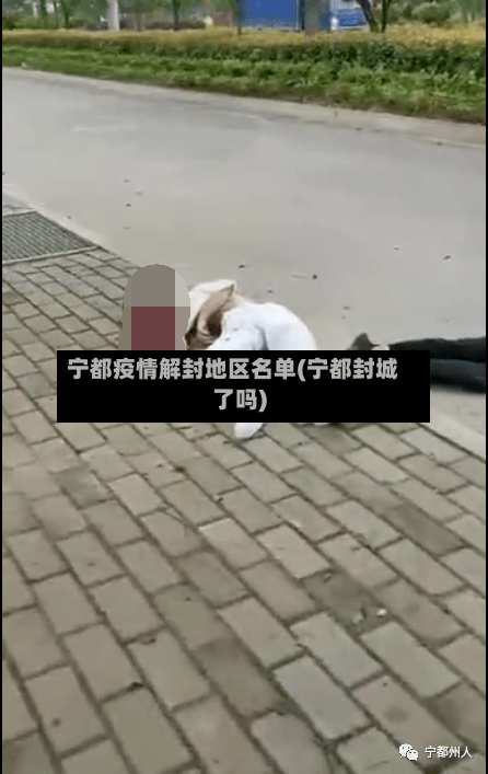 宁都疫情解封地区名单(宁都封城了吗)