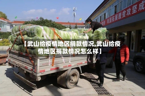 【武山给疫情地区捐款情况,武山给疫情地区捐款情况怎么样】-第2张图片