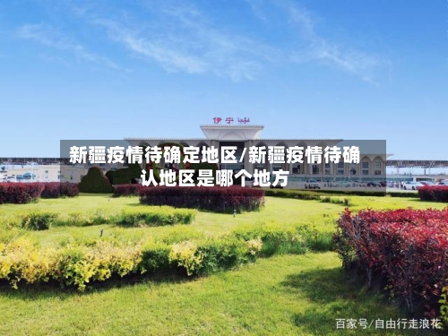 新疆疫情待确定地区/新疆疫情待确认地区是哪个地方-第2张图片