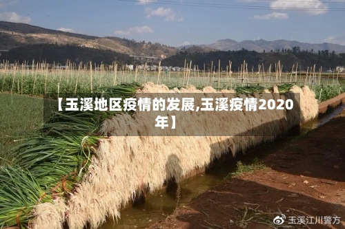 【玉溪地区疫情的发展,玉溪疫情2020年】