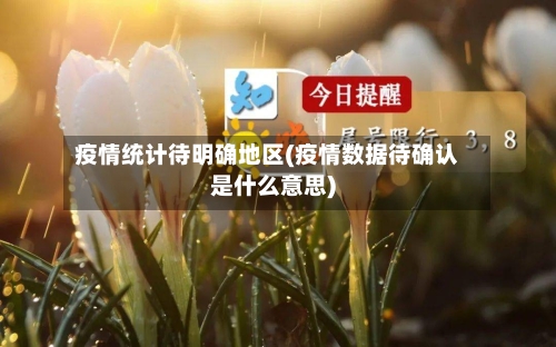 疫情统计待明确地区(疫情数据待确认是什么意思)-第2张图片