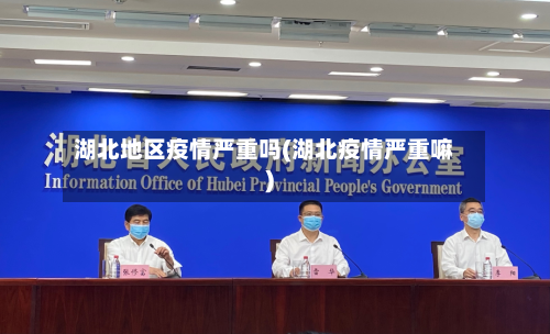 湖北地区疫情严重吗(湖北疫情严重嘛)
