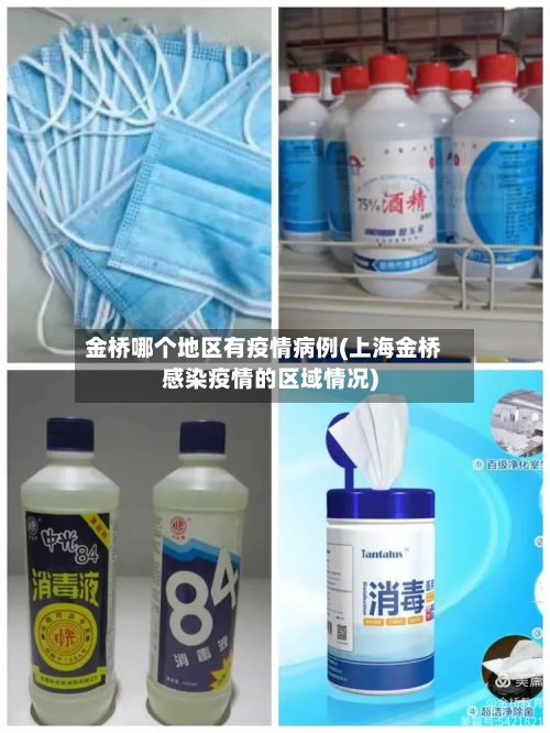 金桥哪个地区有疫情病例(上海金桥感染疫情的区域情况)