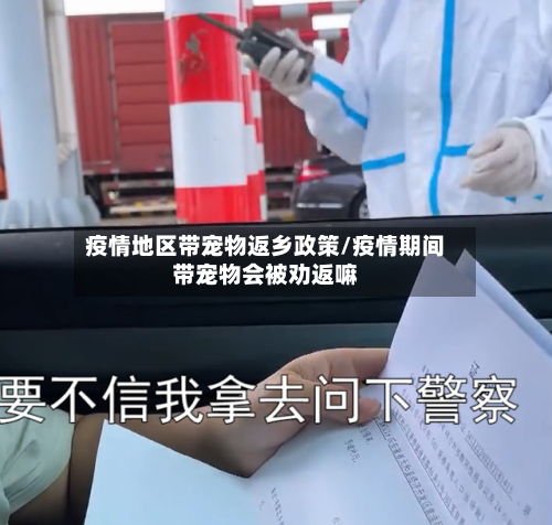 疫情地区带宠物返乡政策/疫情期间带宠物会被劝返嘛